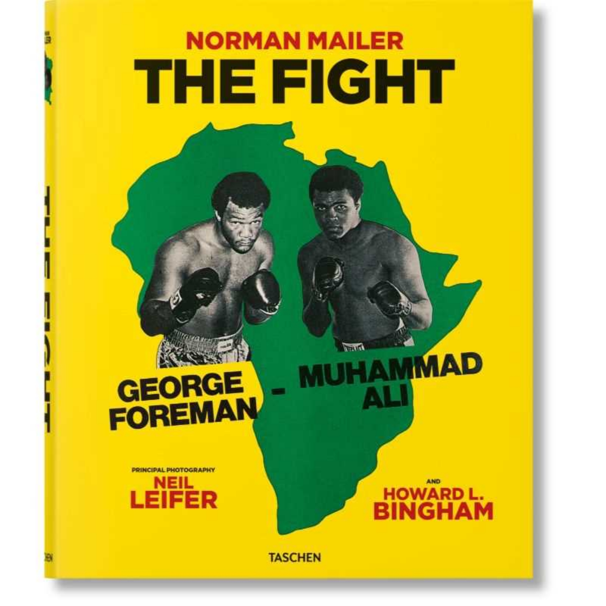 Immagine di LIBRO            THE FIGHT