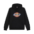 Felpa Con Cappuccio Regular Fit