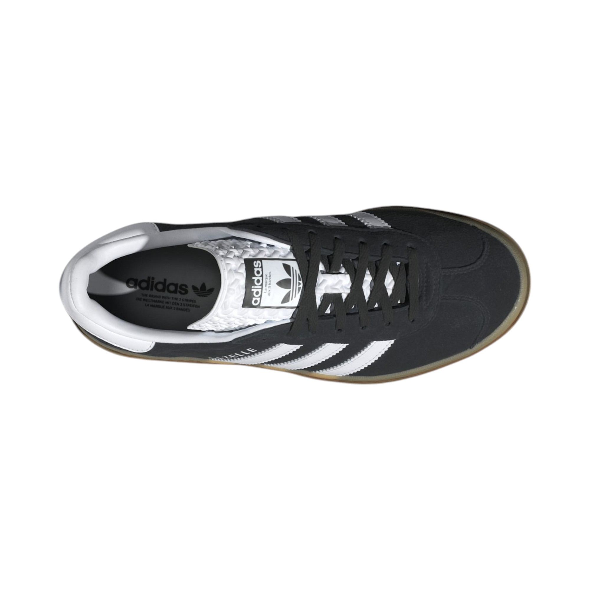 Gazelle Bold W