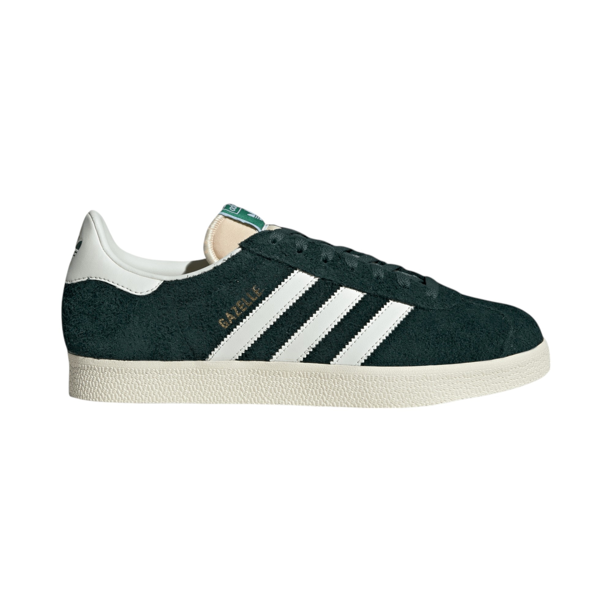 Gazelle 
