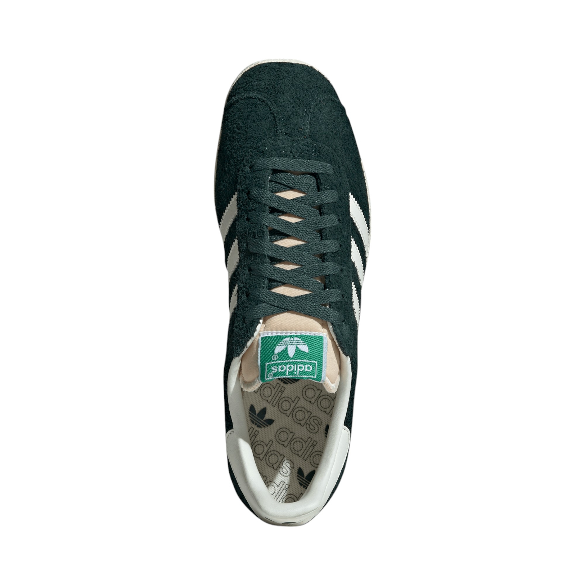 Gazelle 