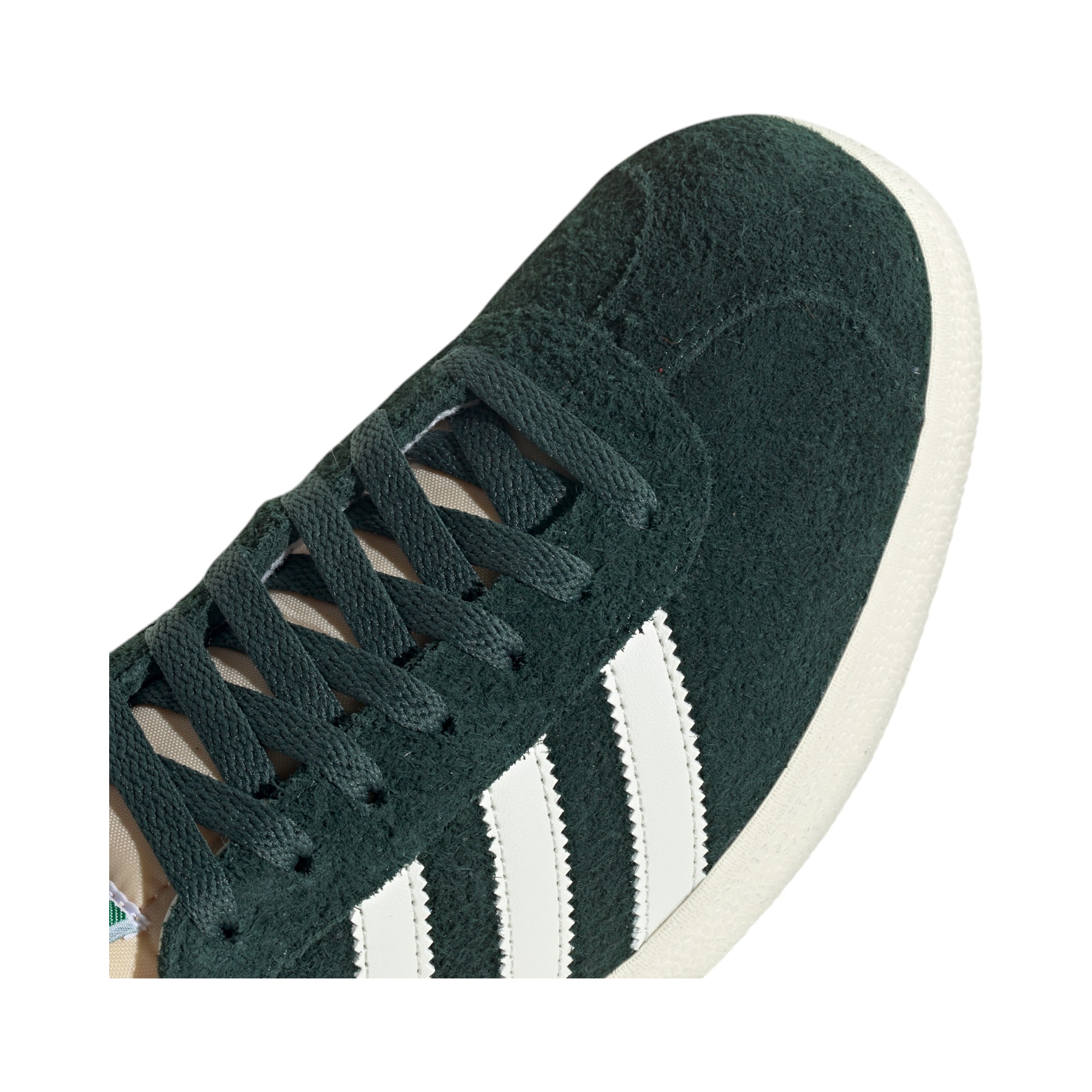 Gazelle 