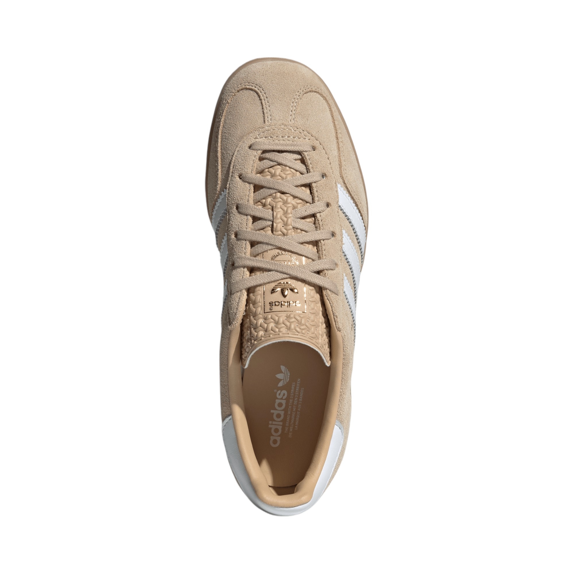 Gazelle 