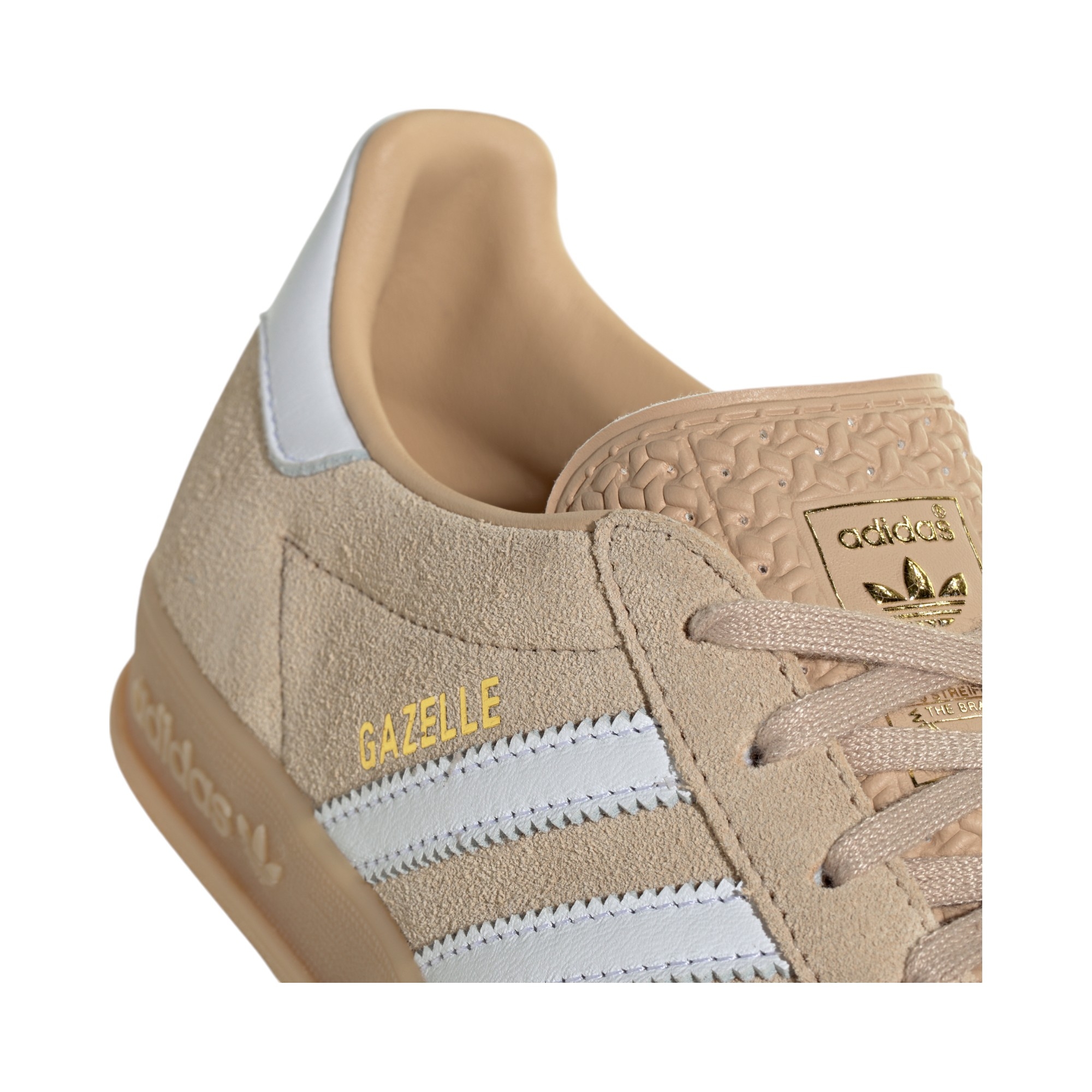 Gazelle 