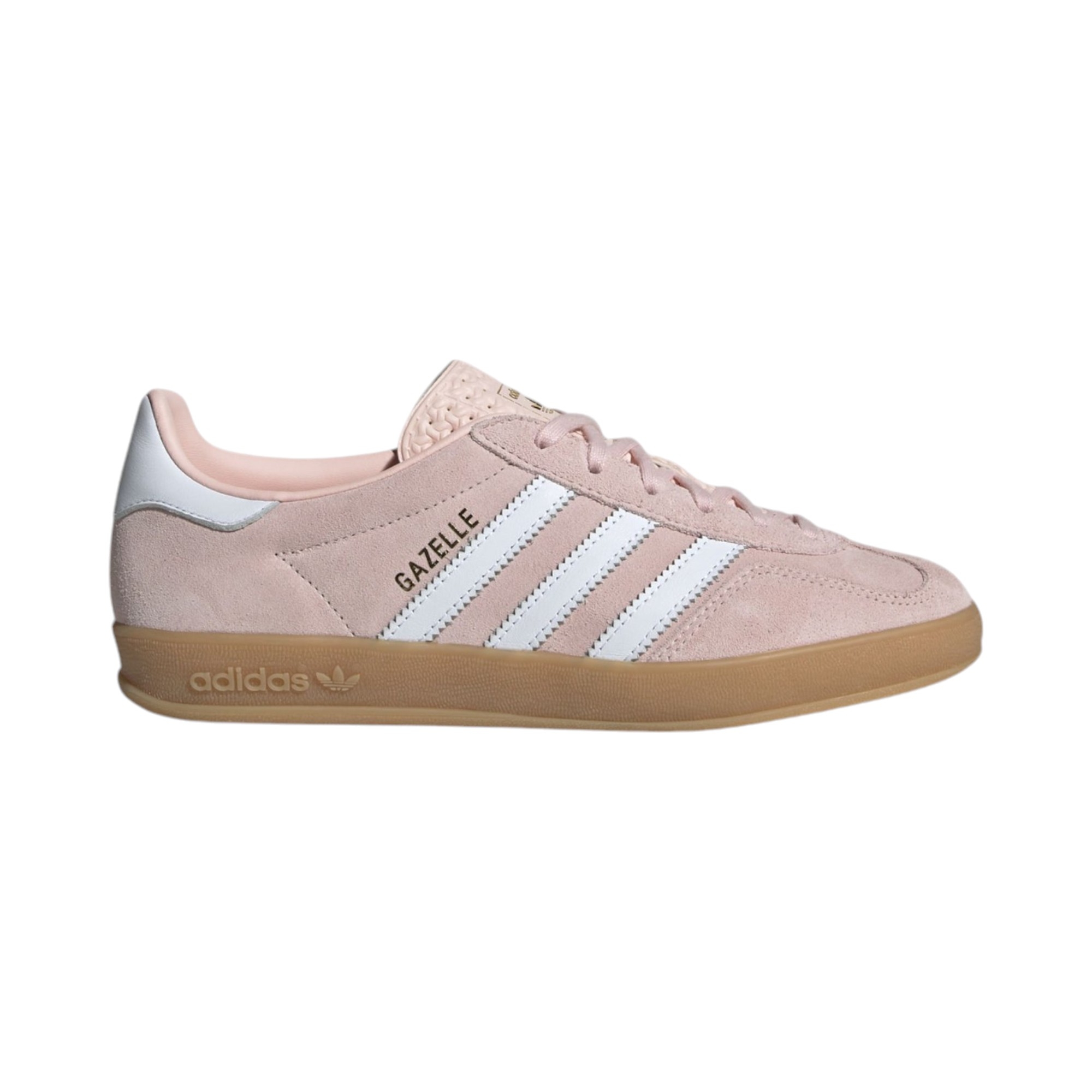 Gazelle 