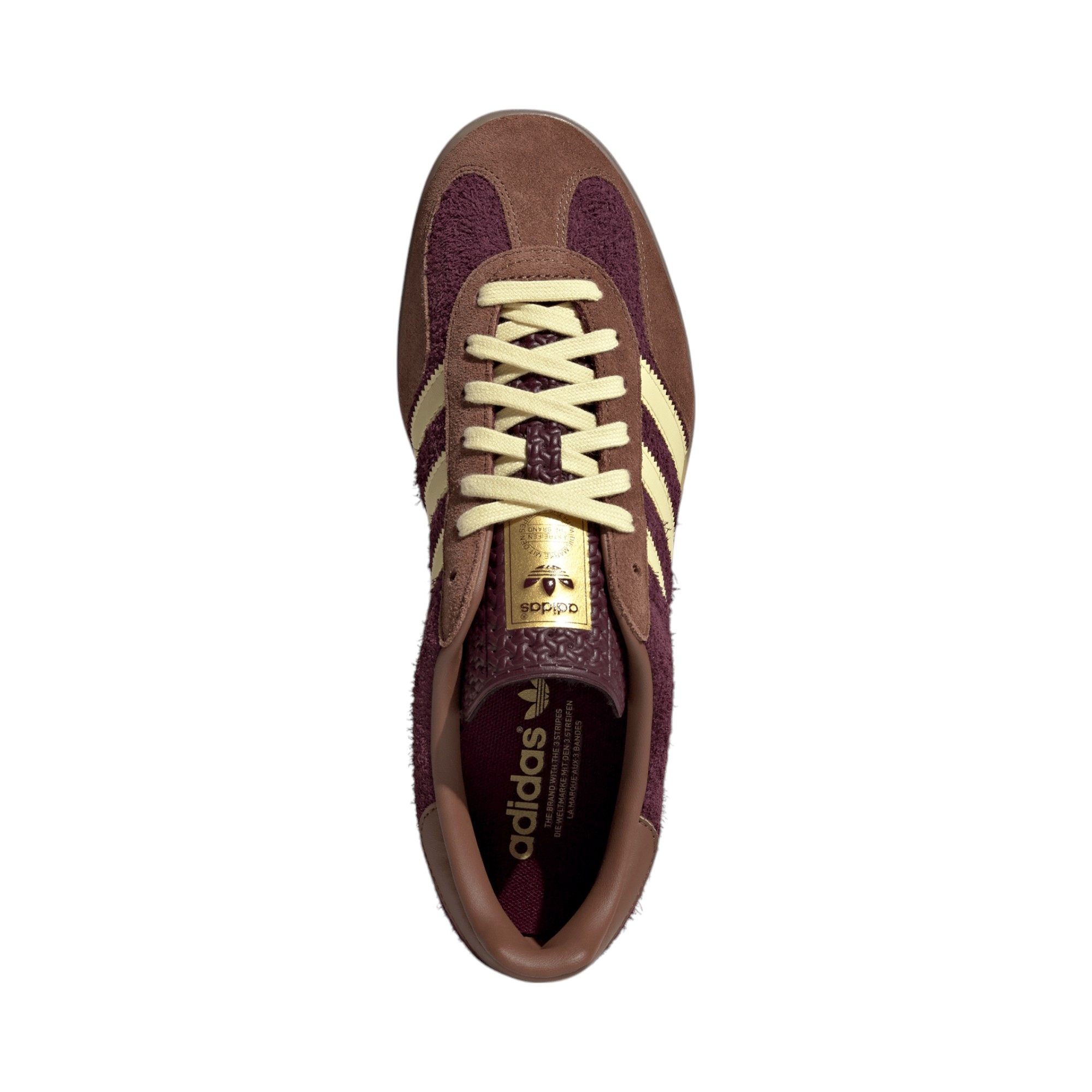 Gazelle 