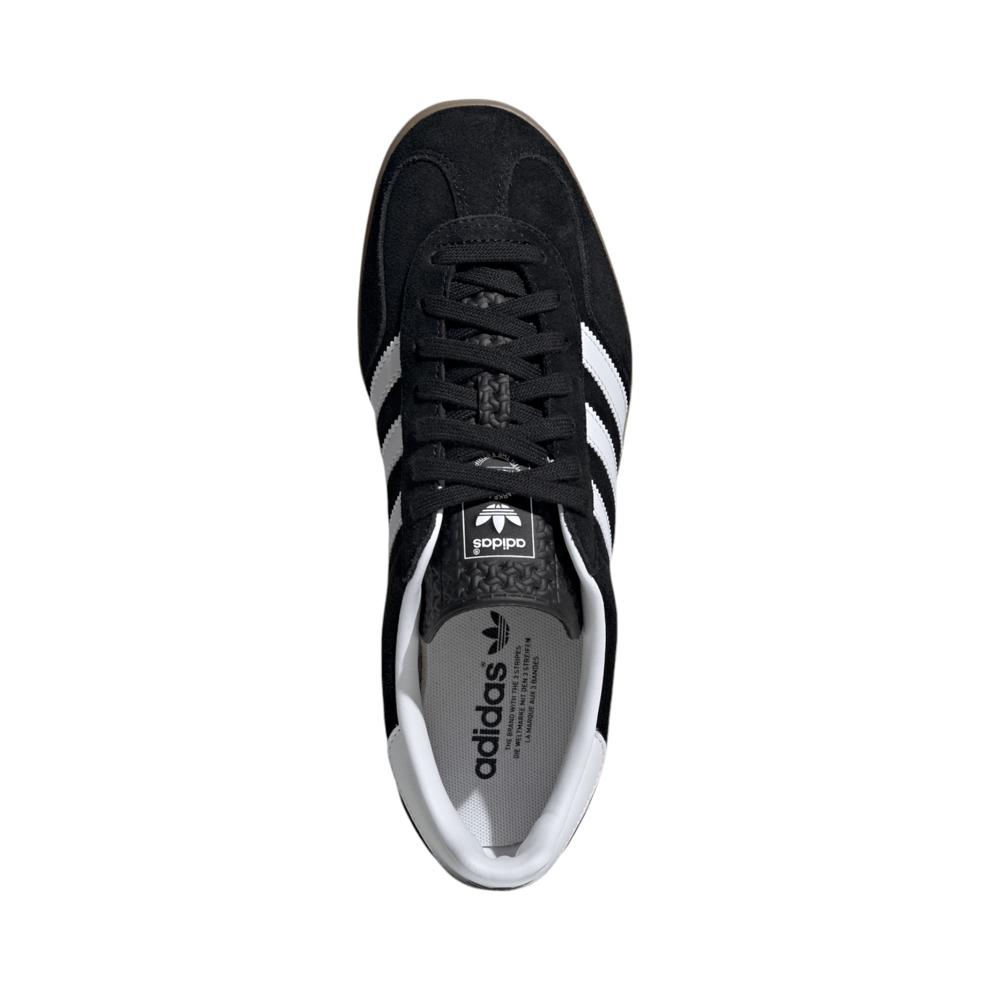 Gazelle 