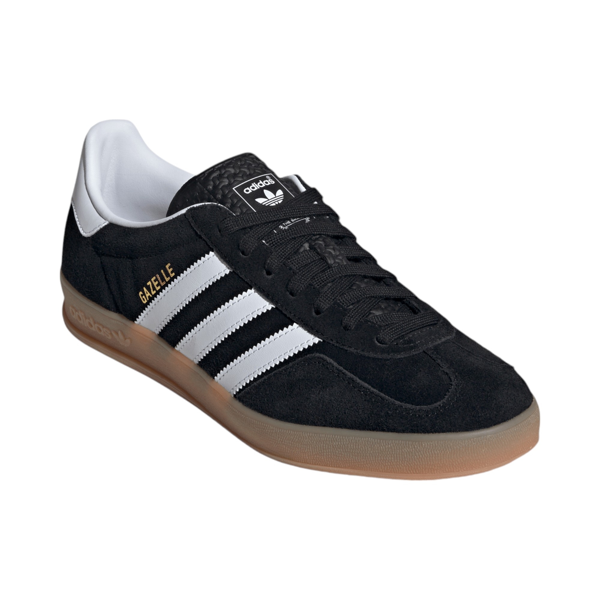 Gazelle 