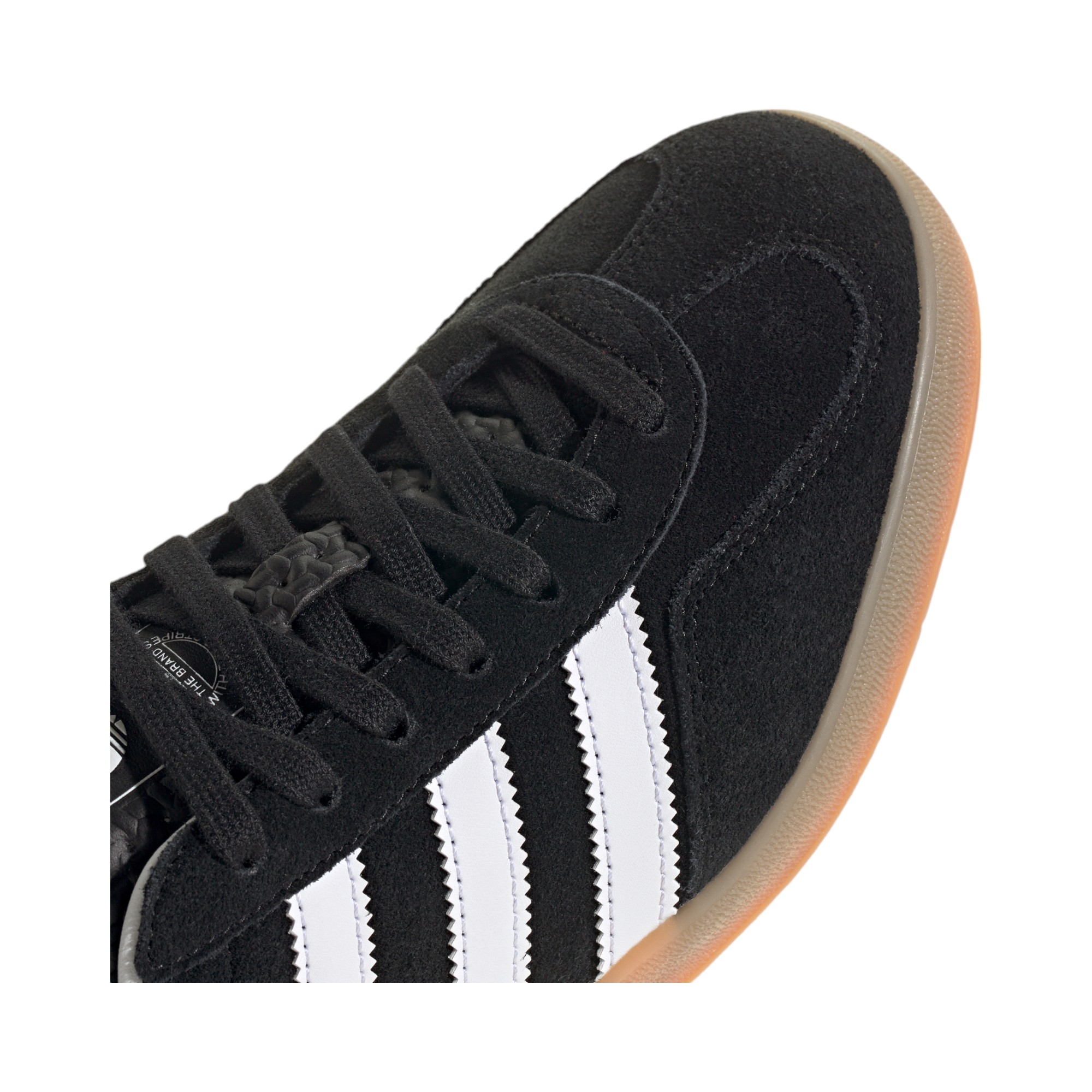 Gazelle 