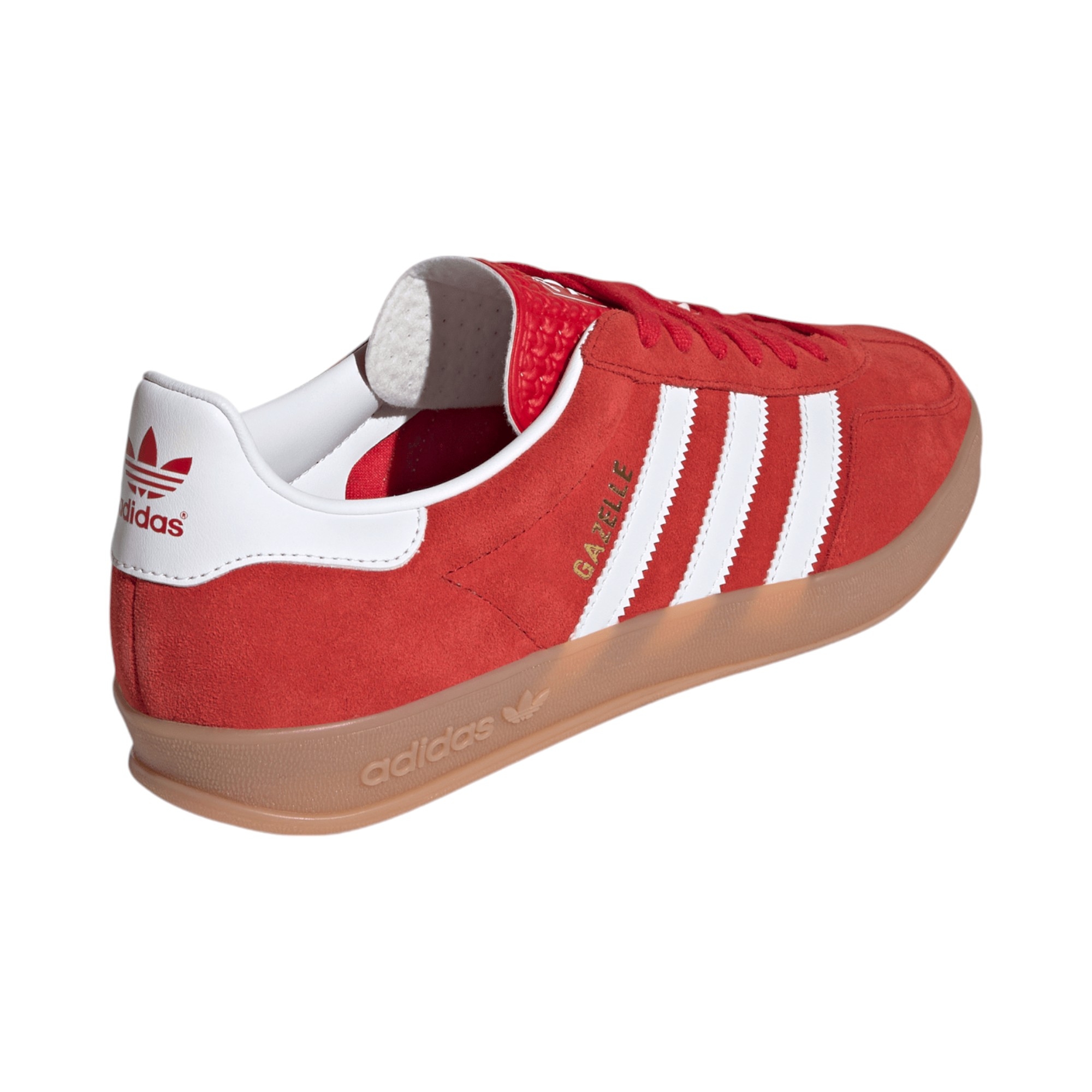 Gazelle 