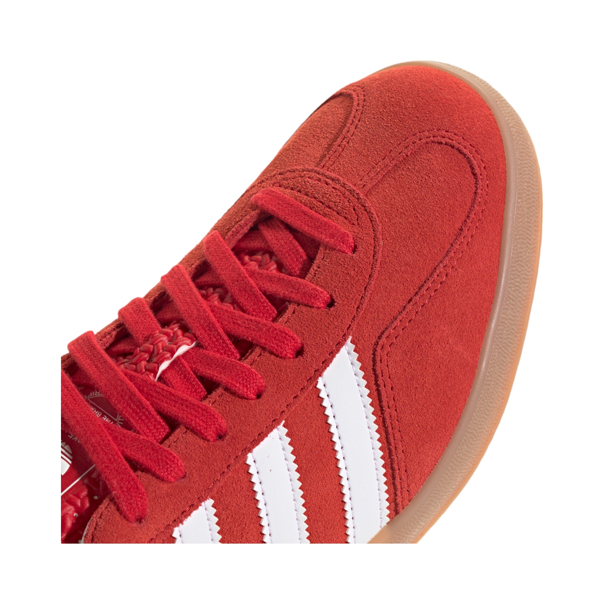 Gazelle 