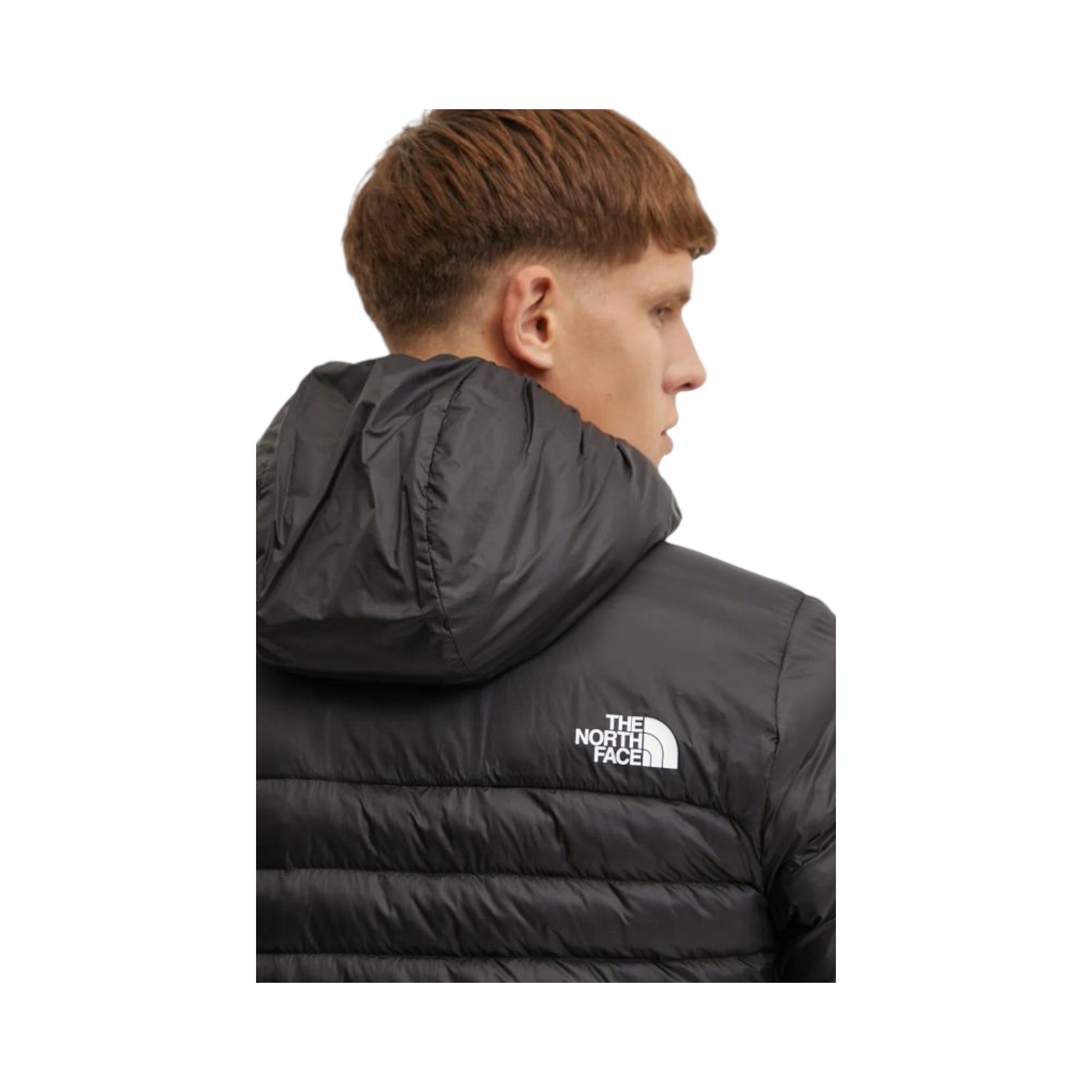 Giacca da sport Terra Peak
