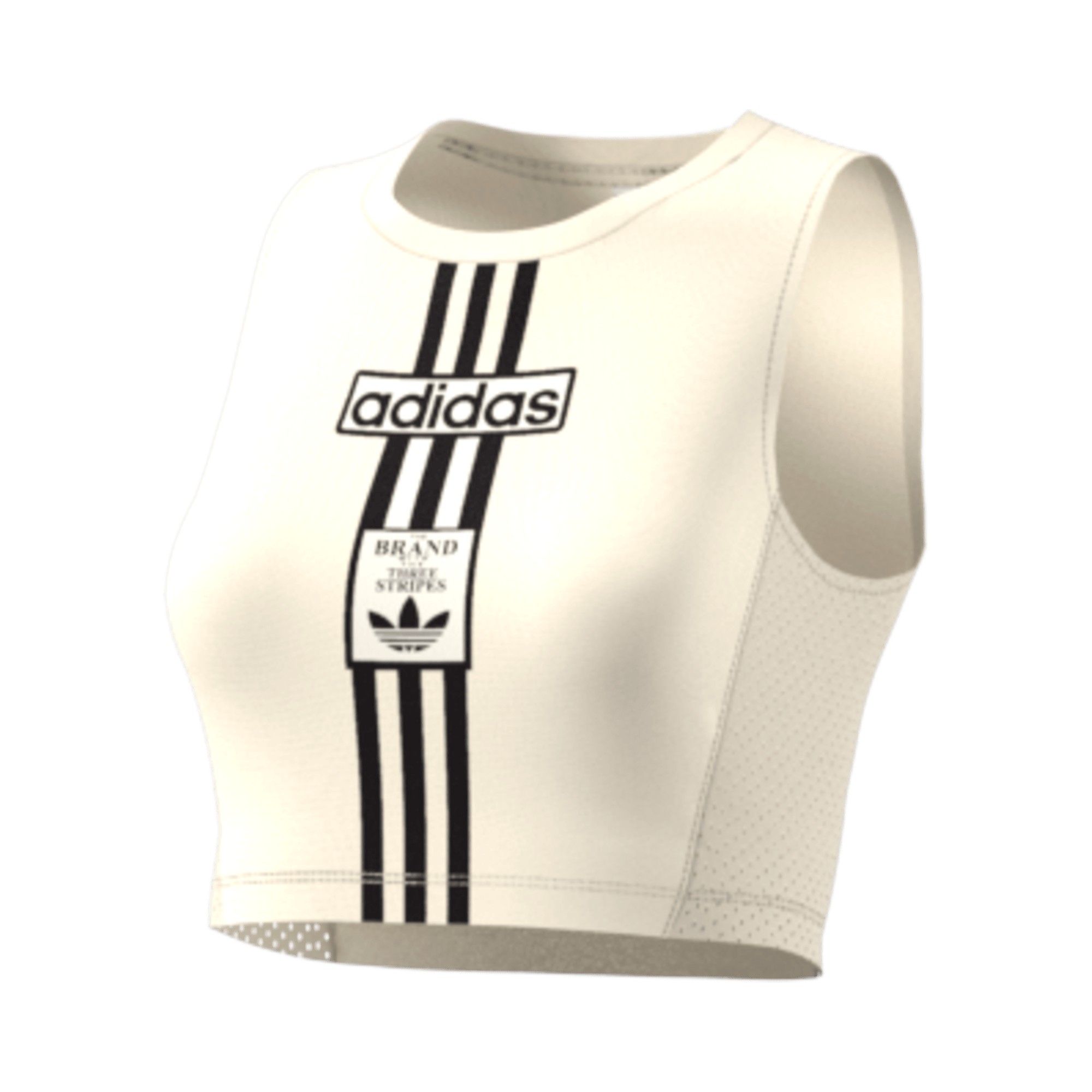 TRICOT           CREAM