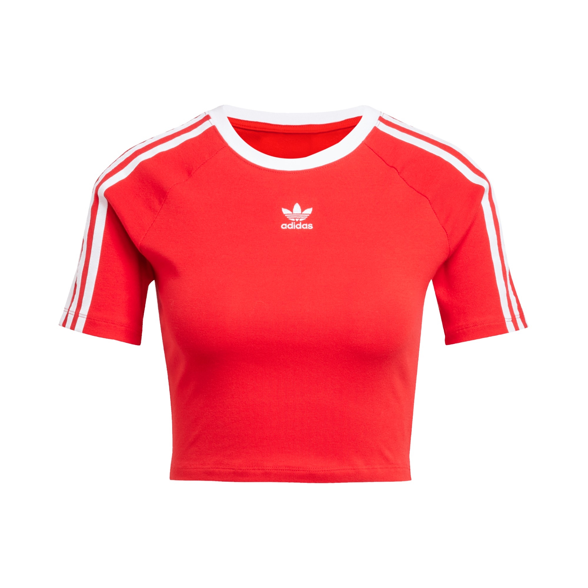 COT.JERSEY       WHT