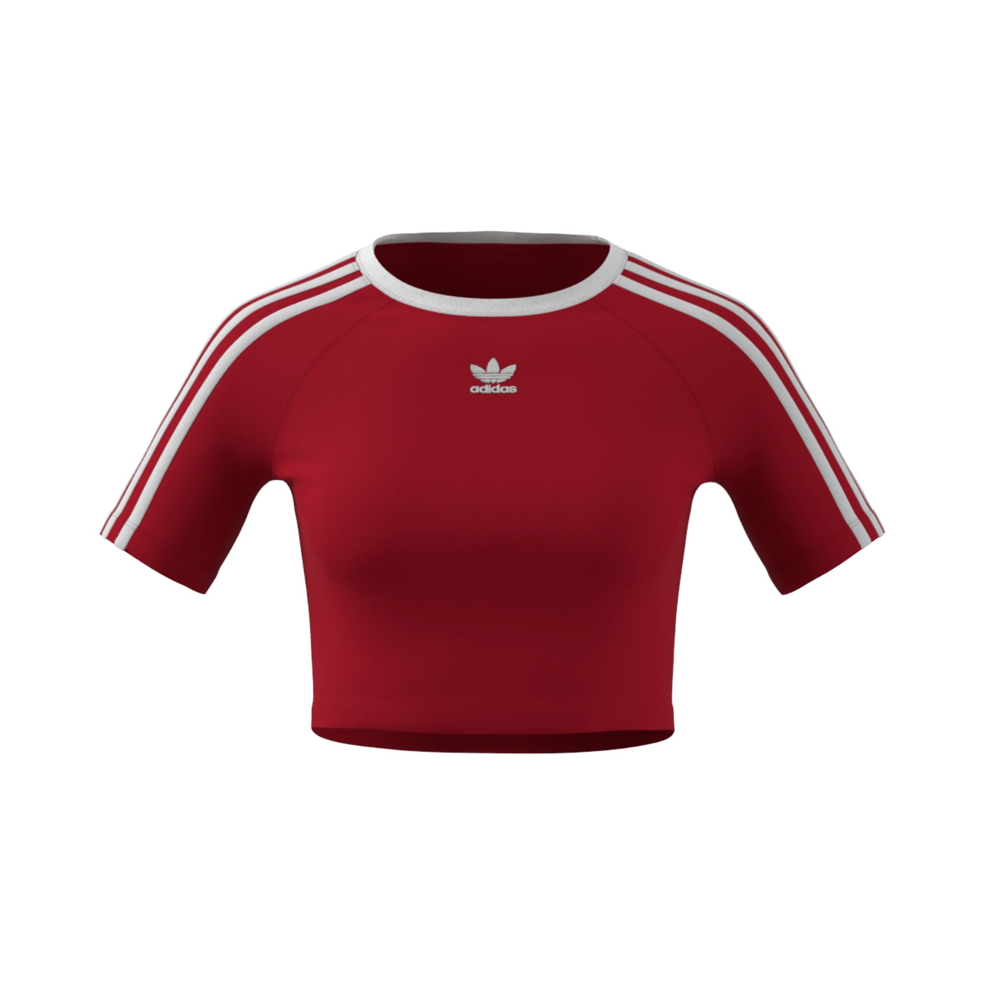 COT.JERSEY       WHT