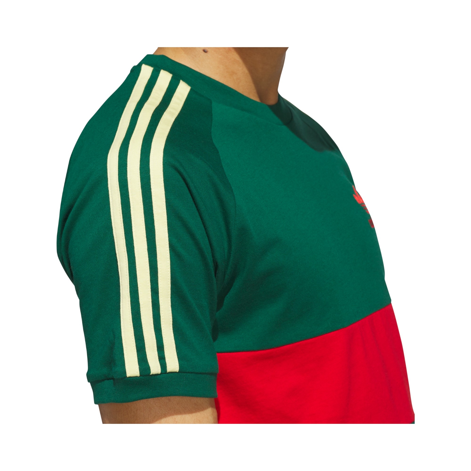 COT.JERSEY       COLL.GREEN/ SCARLET