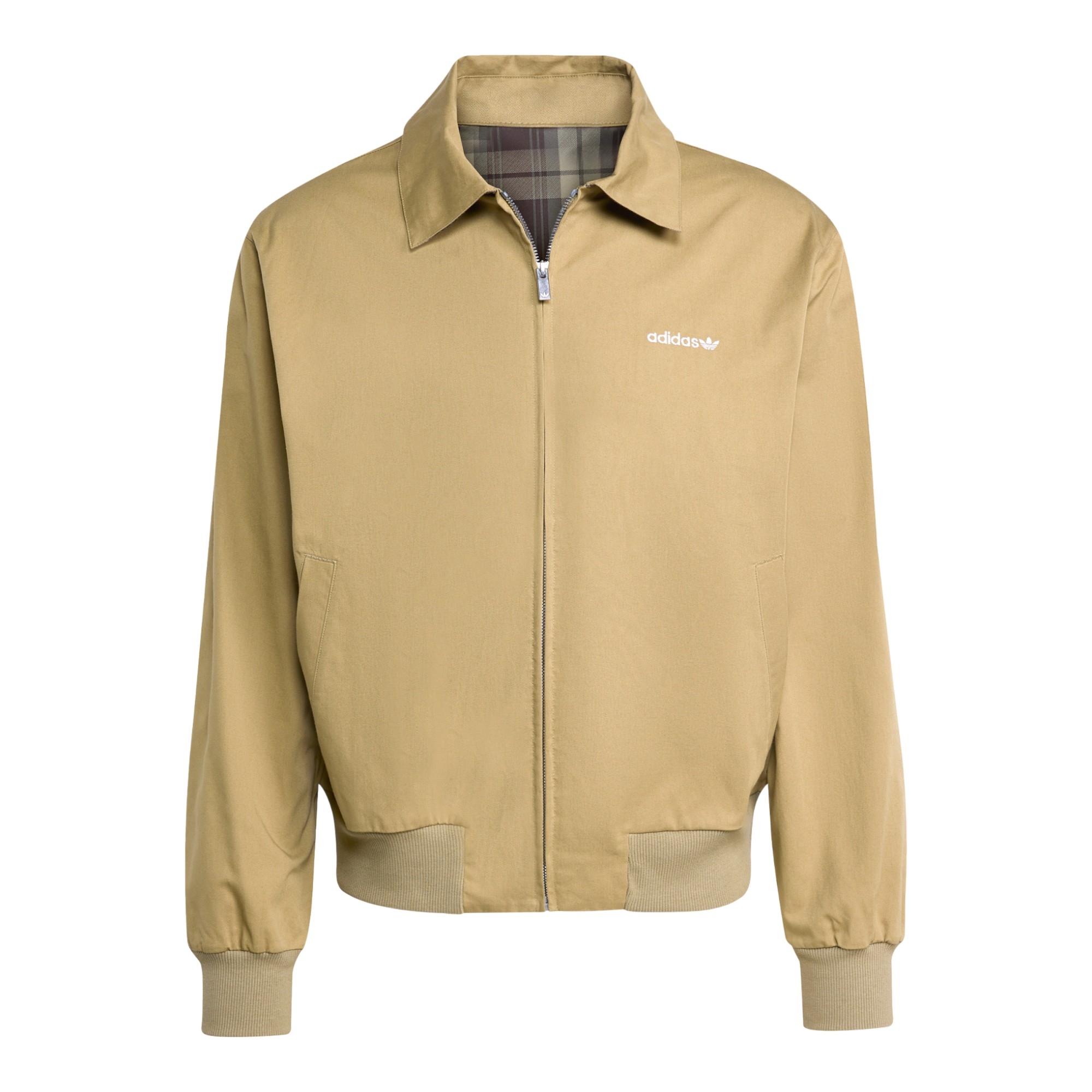 Giubbotto Graphic Reg JKT
