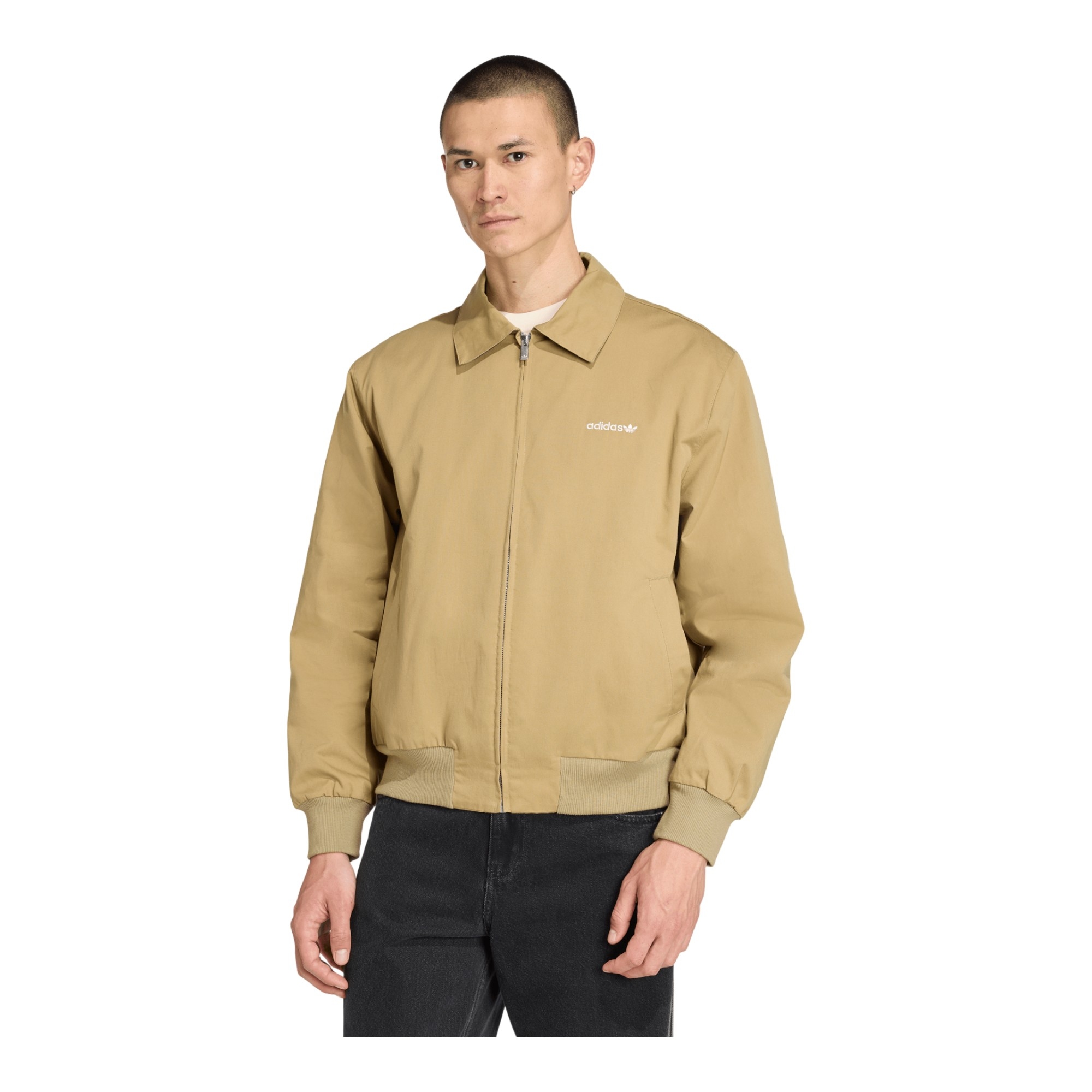 Giubbotto Graphic Reg JKT