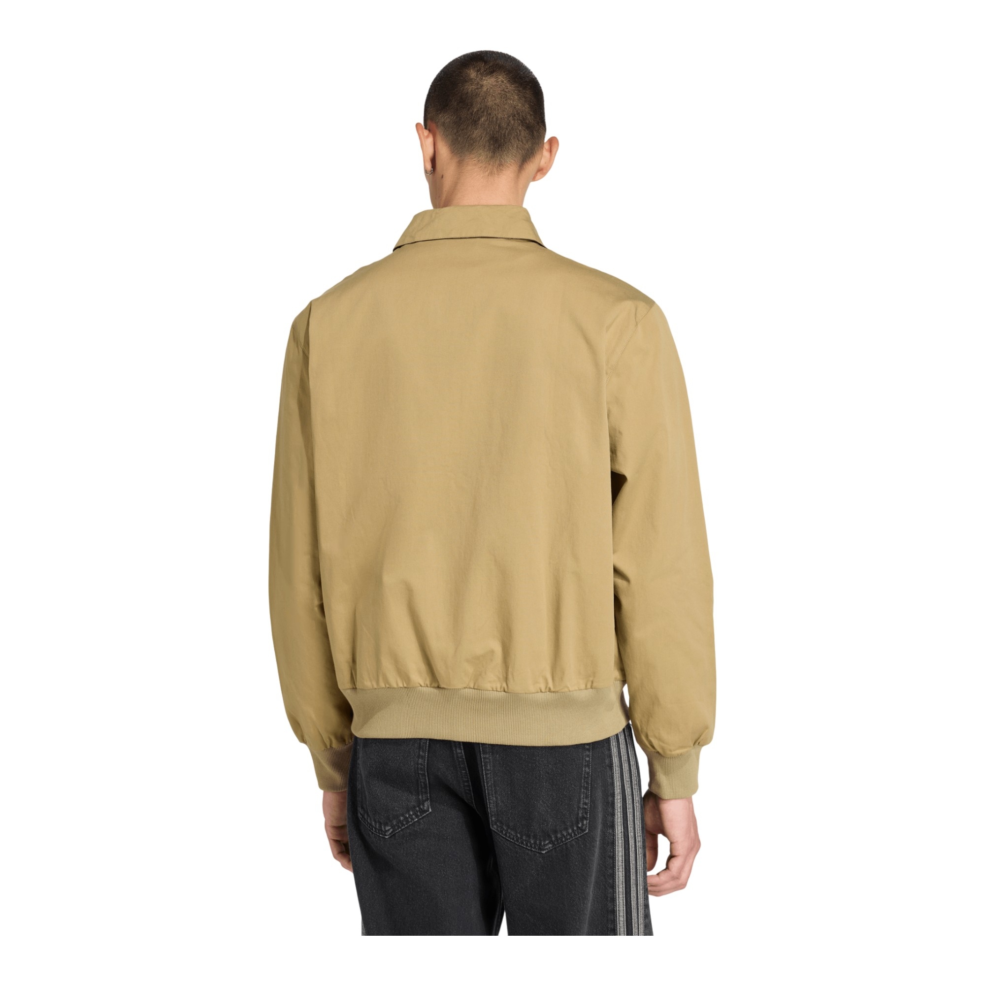 Giubbotto Graphic Reg JKT