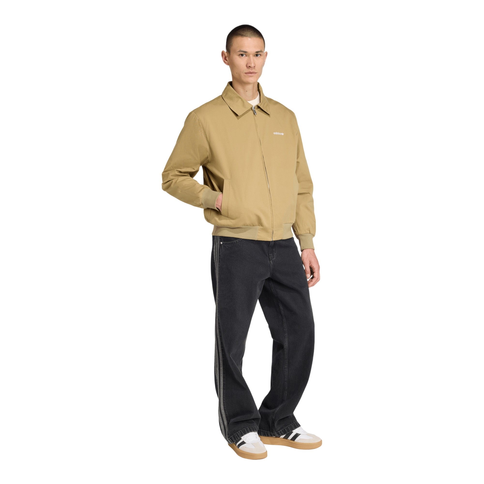 Giubbotto Graphic Reg JKT
