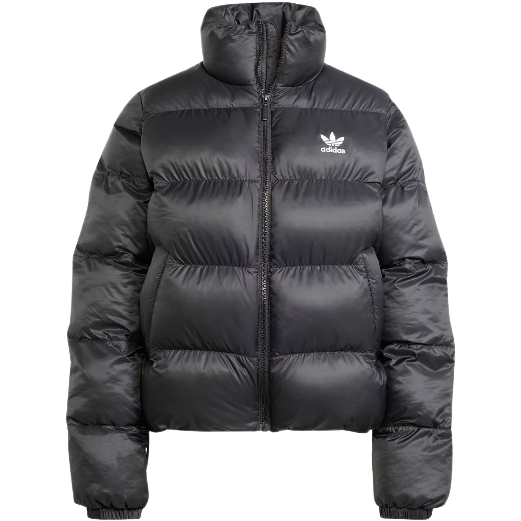 Giacca imbottita adicolor Short